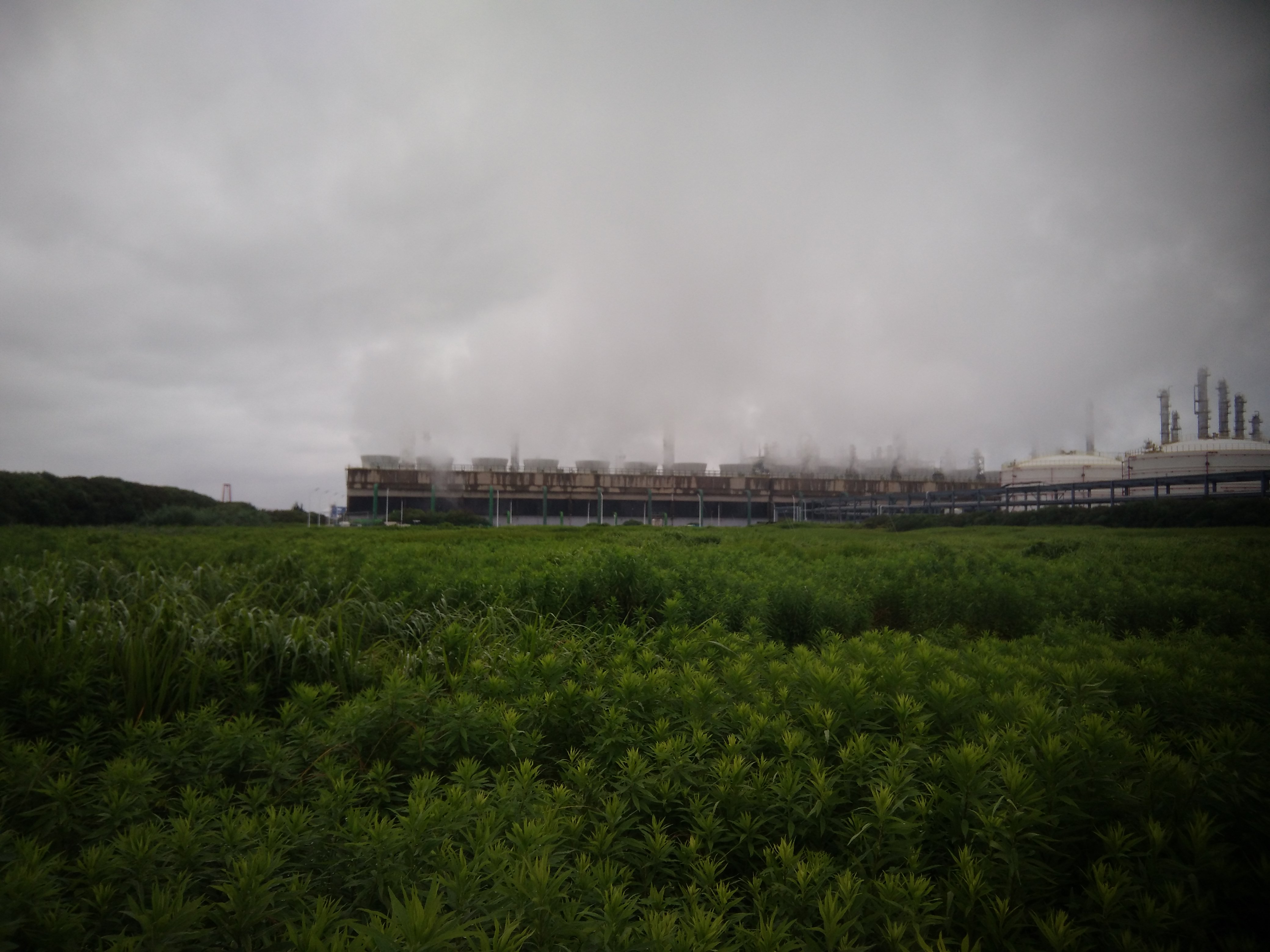 1728624992591.jpg 西面循環水場.jpg